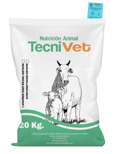 Núcleo Engorda Vaca Novillona